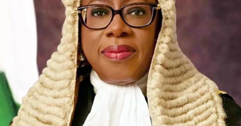CJN pushes responsible AI use in justice system