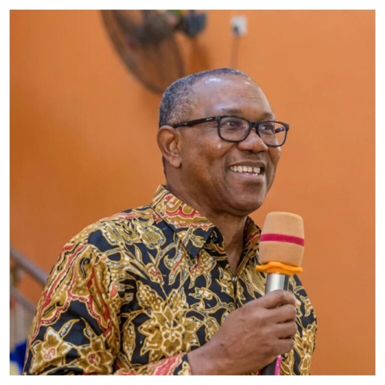 2027: Peter Obi confirms completion of INEC nomination