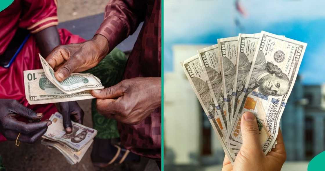 The naira recorded only a 3-kobo loss against the US dollar in the official market