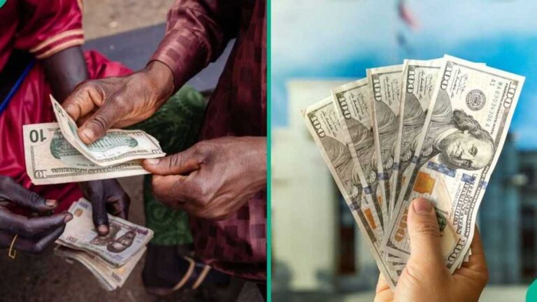Find out more as Naira gains as CBN releases new exchange rates