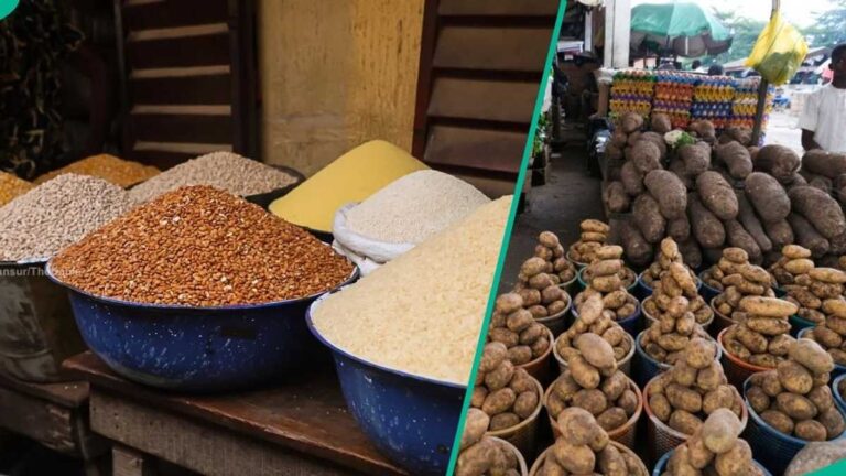 Find out more as Niger, Kogi, Abuja record highest rates
