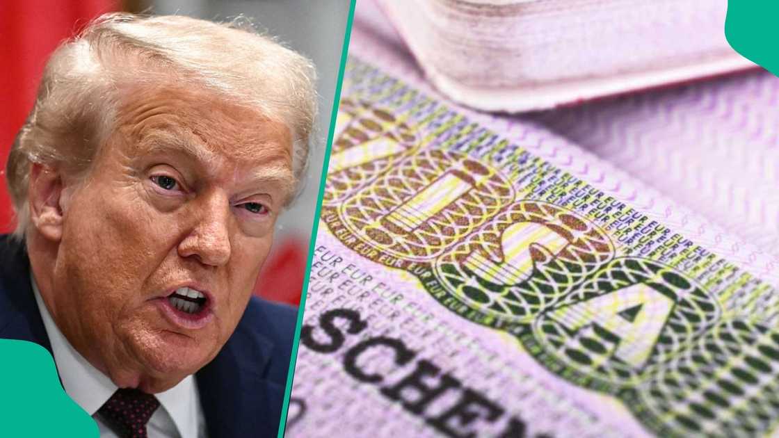 US releases the list of companies ready to sponsor Nigerians