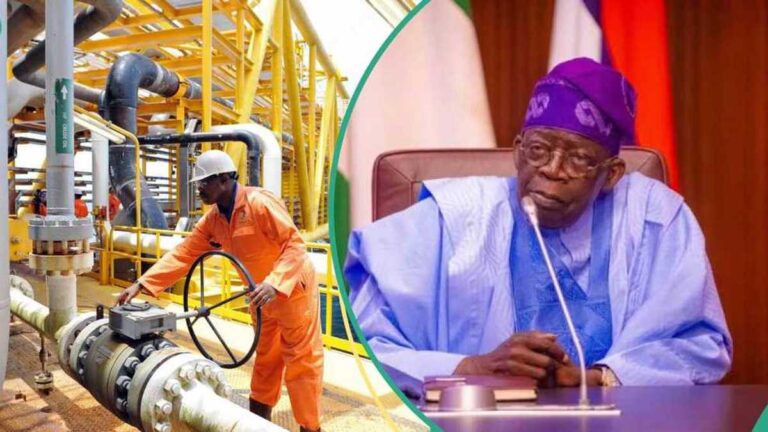FG unveils winners as 31 firms clinch 37 oil and gas blocks in Nigeria