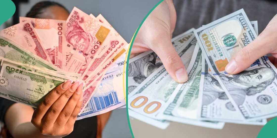 The naira rebounds, rekindles hopes amid rising inflation