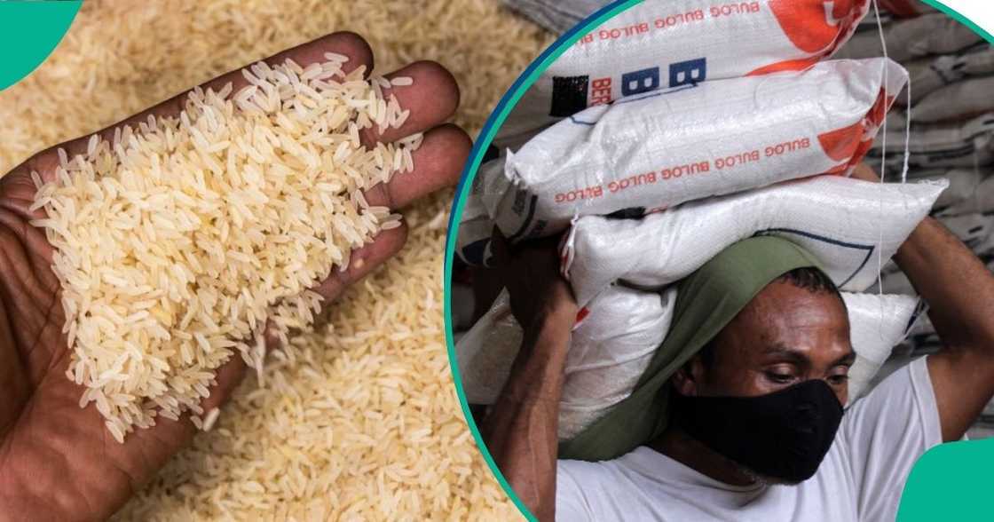 Rice and tomato prices to rise as experts warn of scarcity in three months
