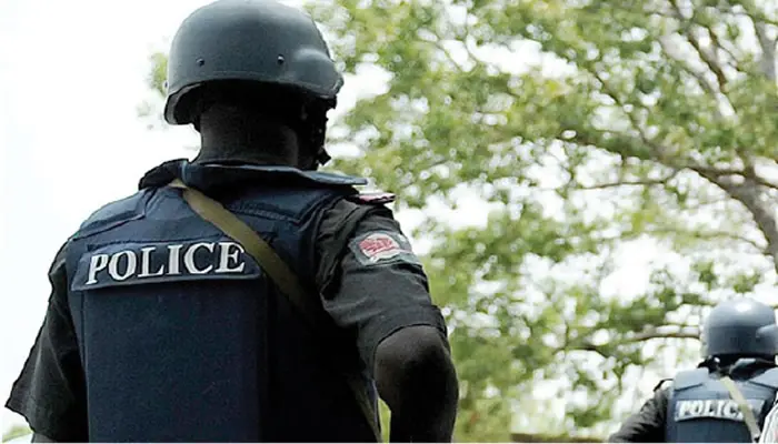 Police arrest vandals, thief, cattle rustler in Jigawa