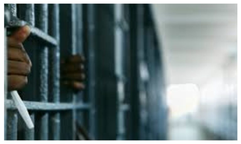 Ogun NDLEA secures 28-year jail term for drug trafficker