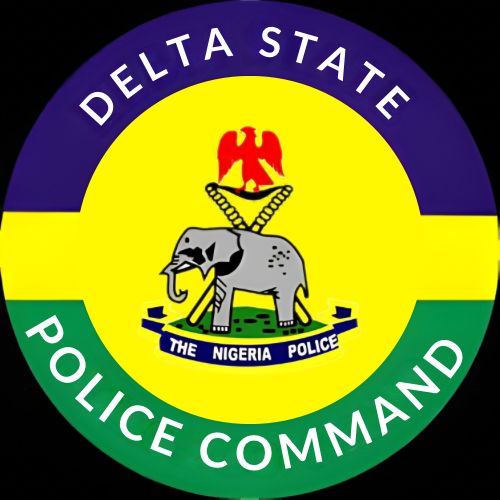 Police Misconduct: Oyeniyi upholds orderly room trial, demote two officers in Delta 