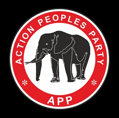 Appeal Court Judgement Saved Nigeria’s Democracy – APP Chieftain, Amadi