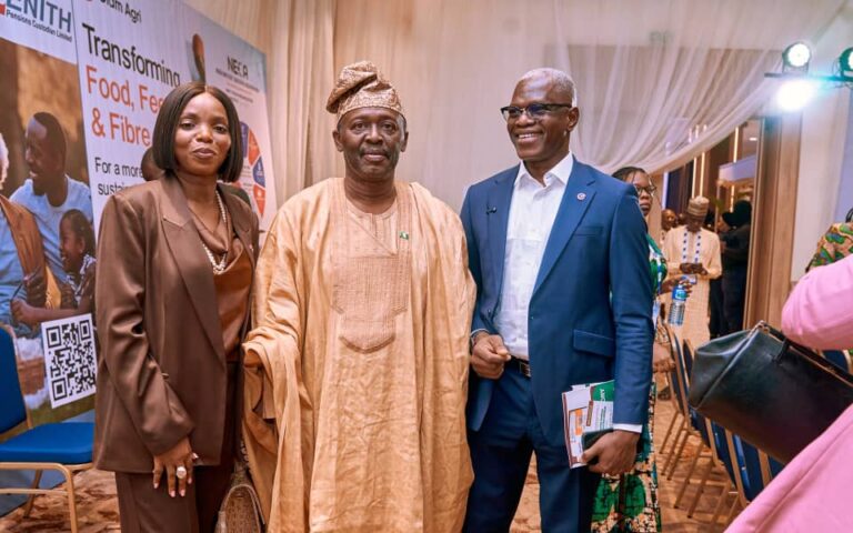 Digital payments key to Nigeria’s economic growth, transparency, revenue drive