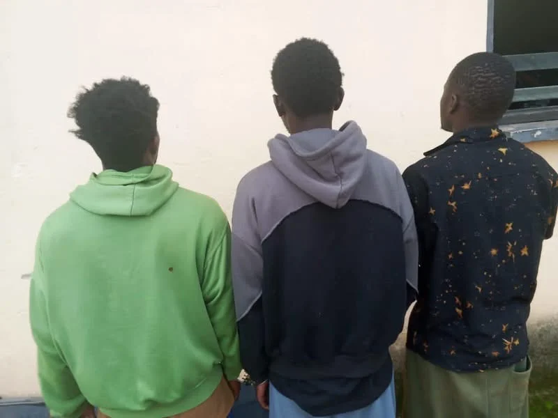 The suspects