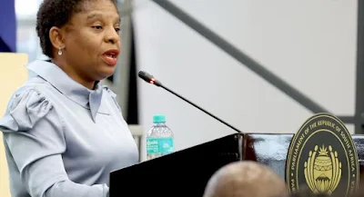 ‘Derogatory and unprofessional’ — FG faults S’African minister over call to identify Nigerian ‘drug dens’