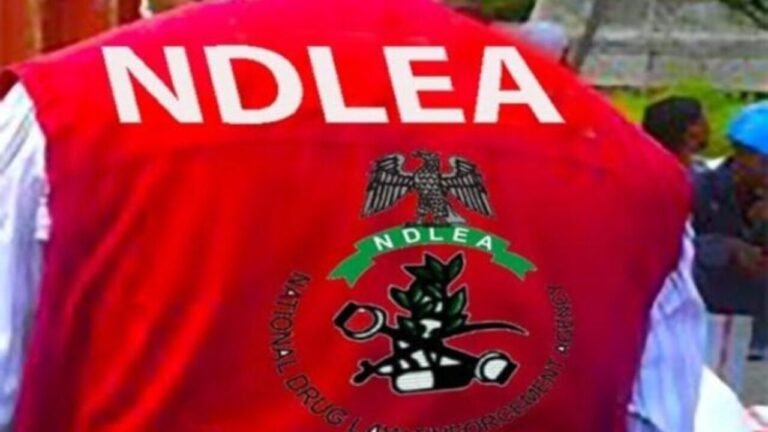 NDLEA secures seven-year jail term for man who advertised cannabis online