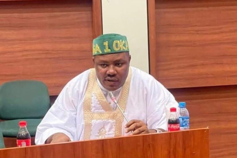 House doesn’t need Tinubu’s presence to resolve budget issues — Reps deputy spokesperson