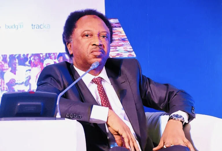 Atiku’s Aide Fires Back at Shehu Sani Over Comment on ADC Court Ruling