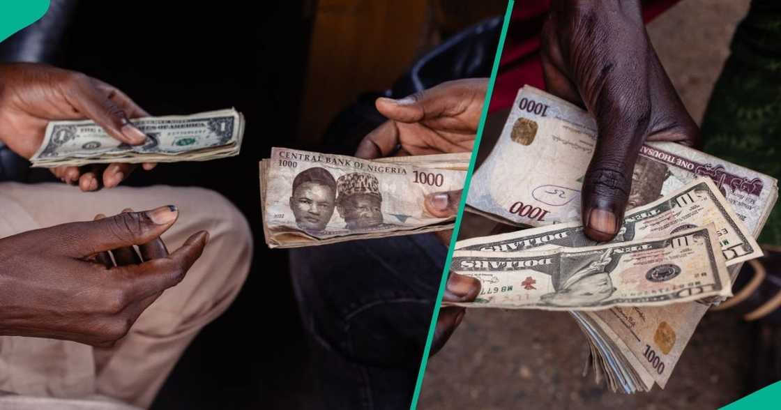 Dollar crashes against naira as improved FX liquidity boosts official market