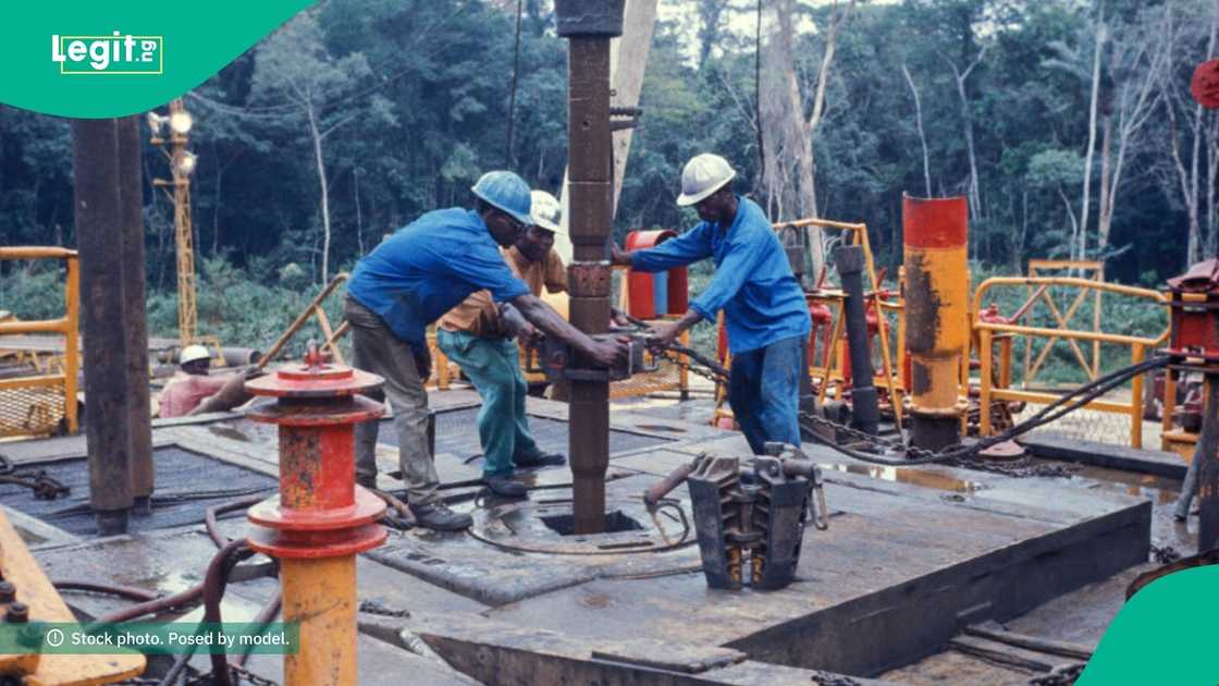 NUPRC begins evaluating commercial bids for 50 oil and gas assets