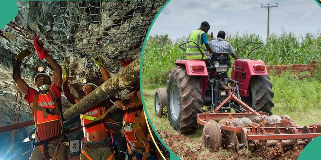 Top investment opportunities in Nigeria: 6 sectors reshaping one of Africa's largest economies
