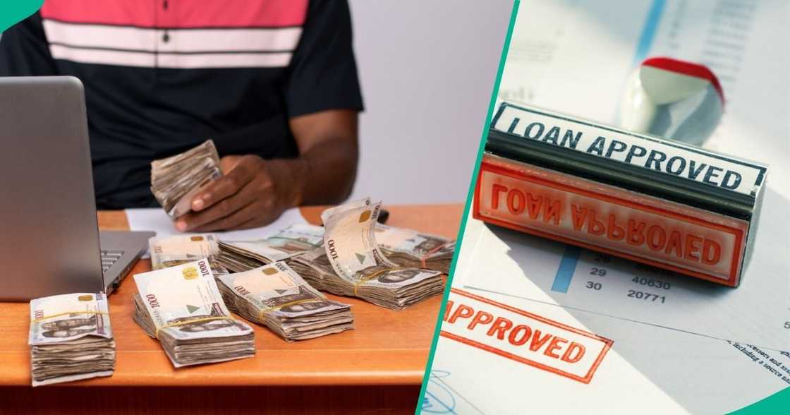 YouthCred launches three loan products for Nigerian youths