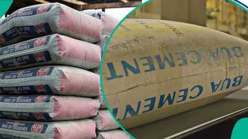Dangote overtakes US in jet fuel exports as Nigerian airlines battle jet A1 crisis