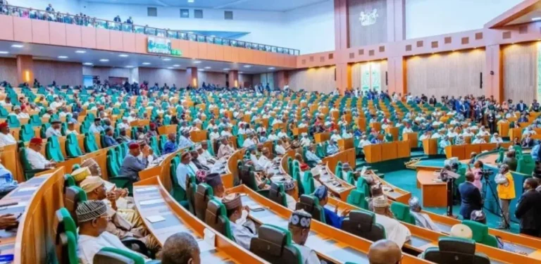 Insecurity: Reps push national drone policy, seek support for local manufacturers