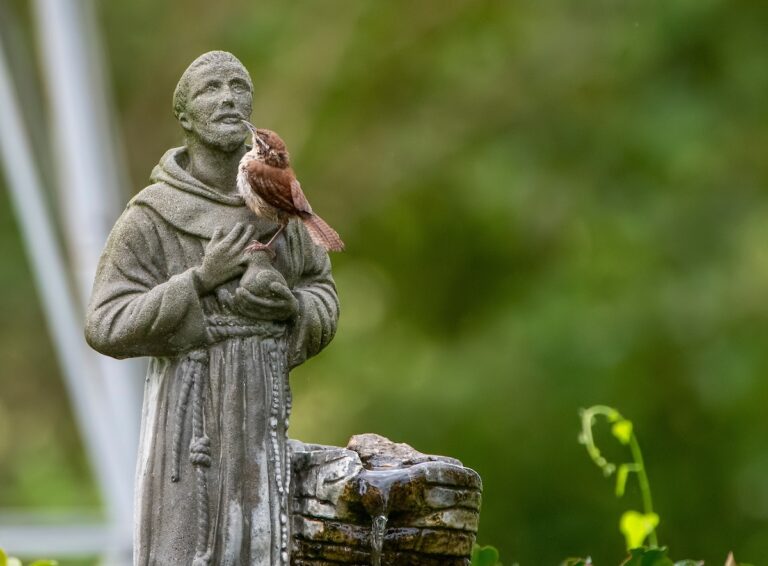 7 U.S. sites to visit for St. Francis’ Jubilee Year