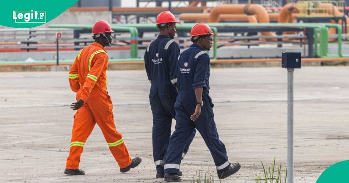 Fresh recruitment begins as Dangote Group seeks engineers, accountants, sales professionals, technicians, and managers for multiple roles.