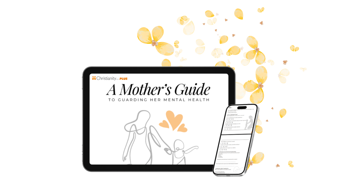 Mothers Guide to Mental Health