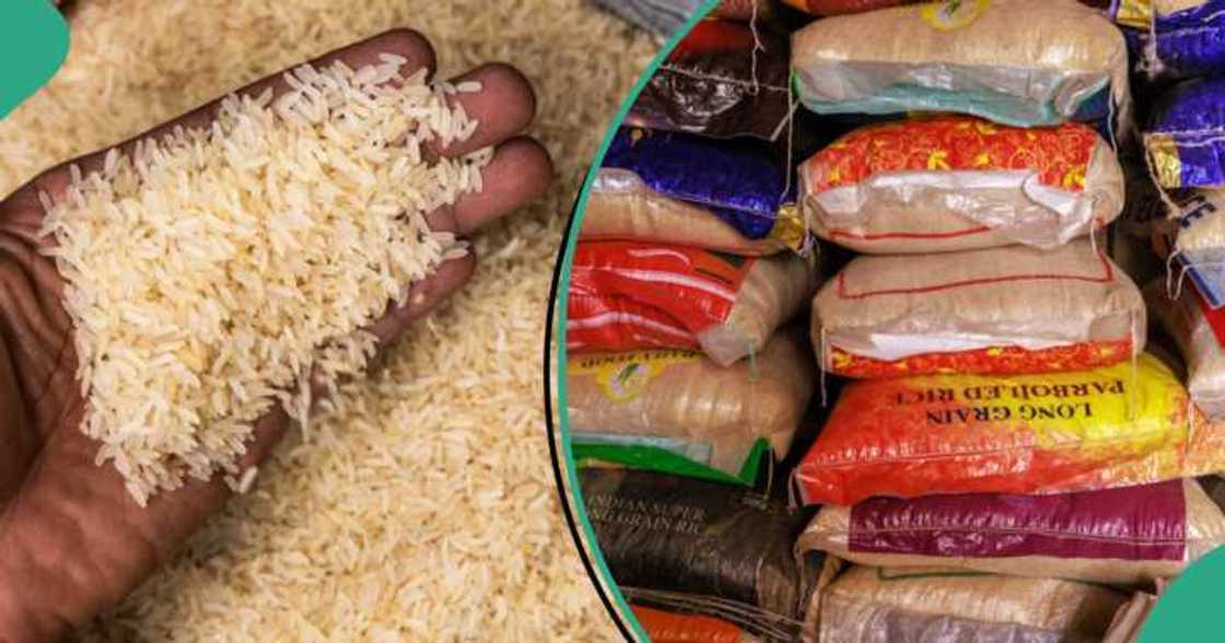Rice prices hit new low as local farmers decry FG's import waiver