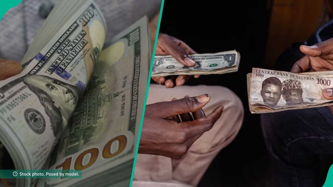 Naira weakens to N1,364.88 per dollar at NAFEM as FX turnover rises 31%.