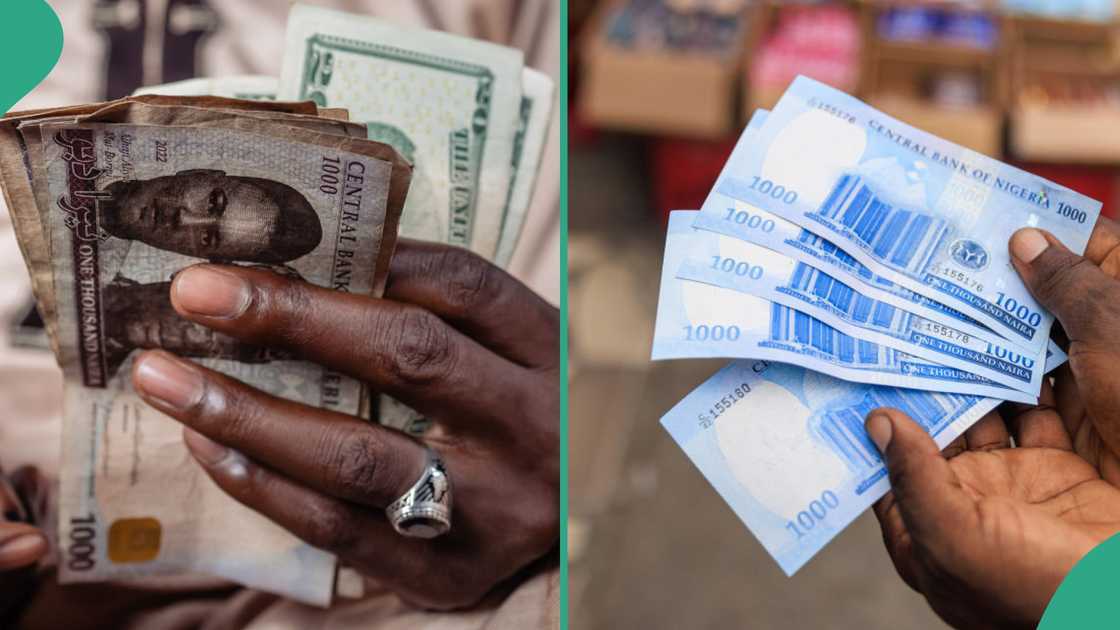 he naira depreciated across the official and parallel markets